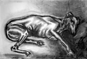 Charcoal picture of Silver - links to  larger image